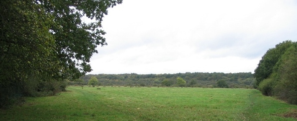 Croxley Common Moor